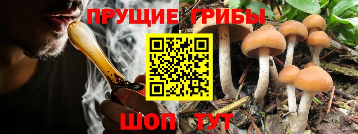 Галлюциногенные грибы MAGIC MUSHROOMS Бирск